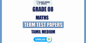 Tamil Medium Grade 08 Maths Term Test Papers