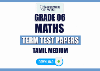 Tamil Medium Grade 06 Maths Term Test Papers