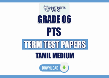 Tamil Medium Grade 06 PTS Term Test Papers