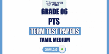 Tamil Medium Grade 06 PTS Term Test Papers
