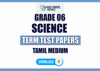 Tamil Medium Grade 06 Science Term Test Papers