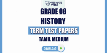 Tamil Medium Grade 08 History Term Test Papers