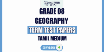 Tamil Medium Grade 08 Geography Term Test Papers