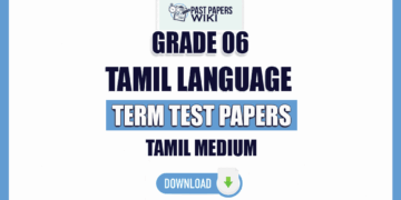 Tamil Medium Grade 06 Tamil Language Term Test Papers