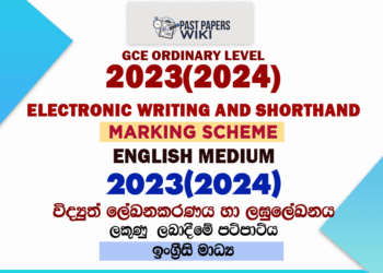 2023(2024) O/L Electronic Writing And Shorthand Marking Scheme | English Medium