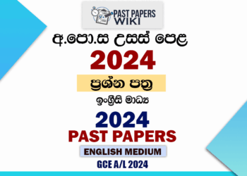 2024 A/L Past Papers and Marking Schemes(English Medium)