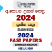 GCE A/L 2024 Past Papers and Marking Schemes