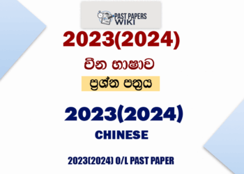 2023(2024) O/L Chinese Past Paper and Answers