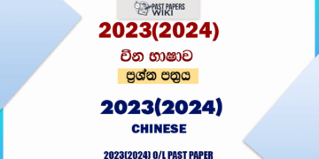 2023(2024) O/L Chinese Past Paper and Answers