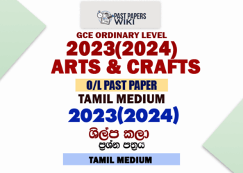 2023(2024) O/L Art And Craft Past Paper in Tamil Medium