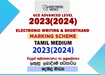 2023(2024) O/L Electronic Writing And Shorthand Marking Scheme | Tamil Medium