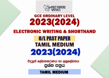 2023(2024) O/L Electronic Writing And Shorthand Past Paper in Tamil Medium