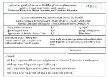 2024(2025) O/L Sinhala Literature Model Paper (Ministry of Education)