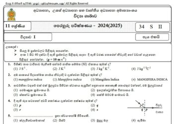 2024(2025) O/L Sinhala language Model Paper (Ministry of Education)