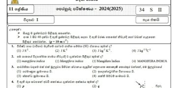 2024(2025) O/L Sinhala language Model Paper (Ministry of Education)