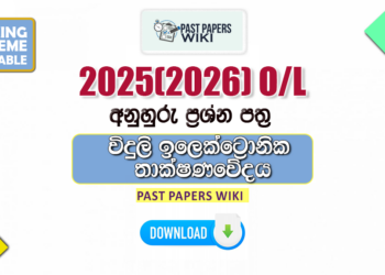 2025(2026) O/L Design And Electronic Technology Model Papers with Answers
