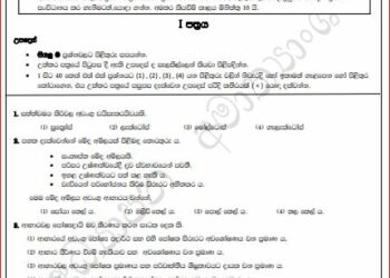 2024(2025) O/L Home Economics Model Paper (Ministry of Education)