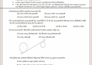 2024(2025) O/L Design And Construction Technology Model Paper (Ministry of Education)