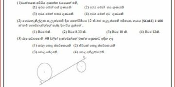 2024(2025) O/L Design And Construction Technology Model Paper (Ministry of Education)