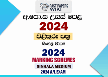 2024 A/L Marking Schemes | Sinhala Medium