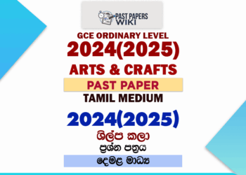 2024(2025) O/L Art And Craft Past Paper in Tamil Medium