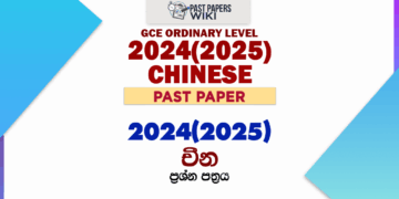 2024(2025) O/L Chinese Past Paper and Answers