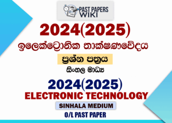 2024(2025) O/L Design & Electronic Technology Past Paper