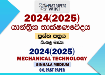 2024(2025) O/L Design & Mechanical Technology Past Paper