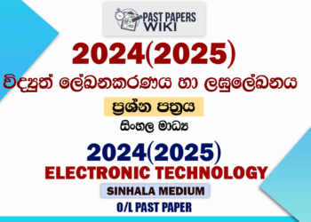 2024(2025) O/L Electronic Writing And Shorthand Past Paper