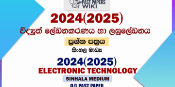 2024(2025) O/L Electronic Writing And Shorthand Past Paper