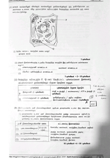 2024 A/L Science For Technology Marking Scheme | Tamil Medium