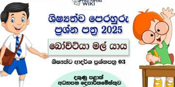 Bovitiya Mal Yaya 2025 Scholarship Model Paper 03 with Answers