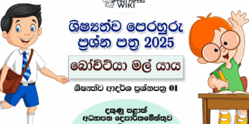 Bovitiya Mal Yaya 2025 Scholarship Model Paper 01 with Answers