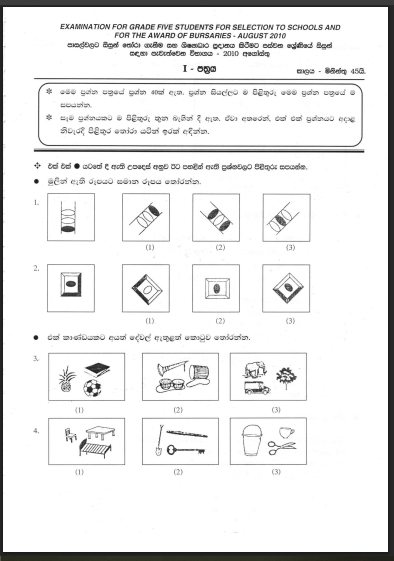 Grade 5 Scholarship Exam Past Paper 2010 | Sinhala Medium