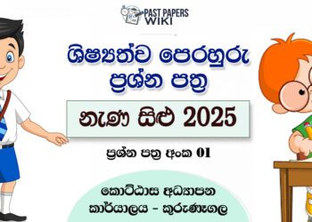 Nena Silu 2025 Grade 5 Scholarship Model Paper 01