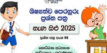 Nena Silu 2025 Grade 5 Scholarship Model Paper 01