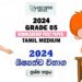 Grade 5 Scholarship Exam Past Paper 2024 | Tamil Medium