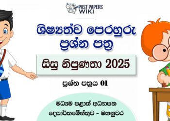 Sisu Nipunatha 2025 Scholarship Model 01 with Answers