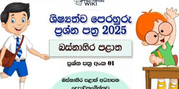 Western Province 2025 Grade 5 Scholarship Model Paper 01