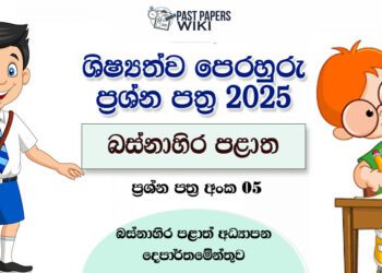 Western Province 2025 Grade 5 Scholarship Model Paper 06