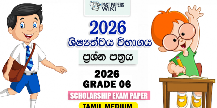 Tamil Medium Grade 5 Scholarship Exam Past Papers(2018 - 2026)