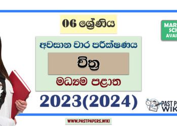 2023(2024) Grade 06 Art 3rd Term Test Paper | Central Province