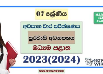 2023(2024) Grade 07 Civic Education 3rd Term Test Paper | Central Province