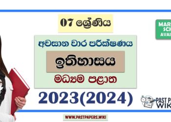 2023(2024) Grade 07 History 3rd Term Test Paper | Central Province