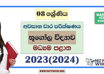 2023(2024) Grade 08 Geography 3rd Term Test Paper | Central Province