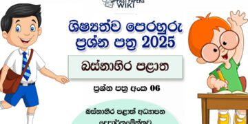 Western Province 2025 Grade 5 Scholarship Model Paper 06