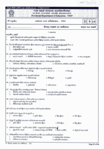 North Western Province 2024 Grade 07 Sinhala Language 3rd Term Test Paper