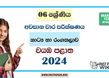 North Western Province 2024 Grade 06 Drama 3rd Term Test Paper | Sinhala Medium