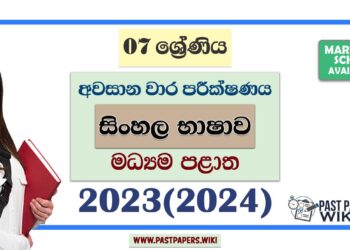2023(2024) Grade 07 Sinhala 3rd Term Test Paper | Central Province