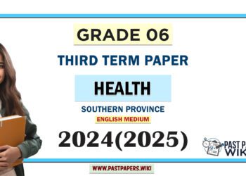 Southern Province 2024 Grade 06 Health 3rd Term Test Paper | English Medium